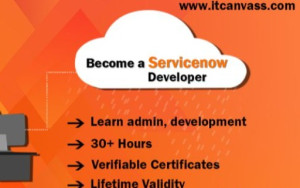 Get your dream job with our Servicenow Developer Training | Croozi.com